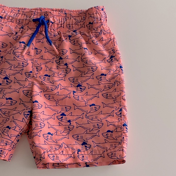 Cat & Jack Bundle Set of 2 Shorts - Picture 5 of 12